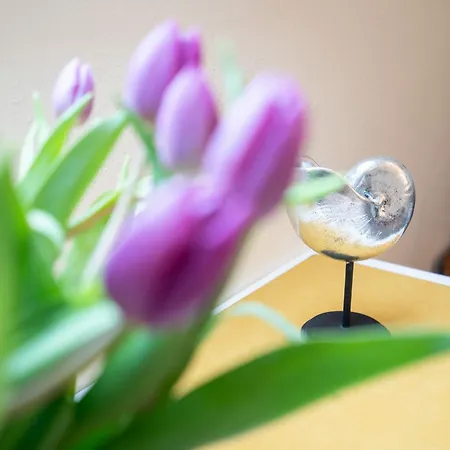 Her16d Ankes Gaestehaus F Apartamento